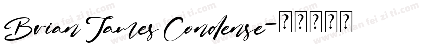Brian James Condense字体转换